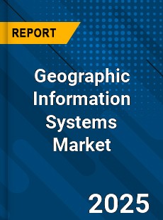 Global Geographic Information Systems Industry