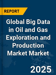 Global Big Data in Oil and Gas Exploration and Production Market