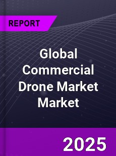 Global Commercial Drone Market
