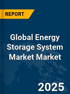 Global Energy Storage System Market
