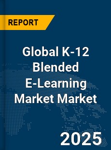Global K 12 Blended E Learning Market