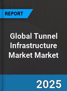 Global Tunnel Infrastructure Market