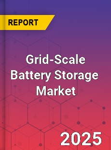 Global Grid Scale Battery Storage Storage System Industry