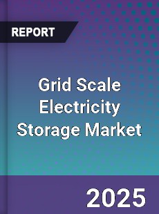 Global Grid Scale Electricity Storage Market