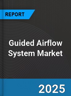 Global Guided Airflow System Industry
