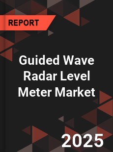 Global Guided Wave Radar Level Meter Market
