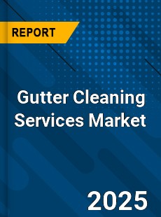 Gutter Cleaning Services Global and China Top Players Market