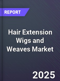 Global Hair Extension Wigs and Weaves Market