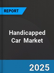 Global Handicapped Car Industry