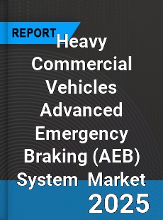 Global Heavy Commercial Vehicles Advanced Emergency Braking System Industry