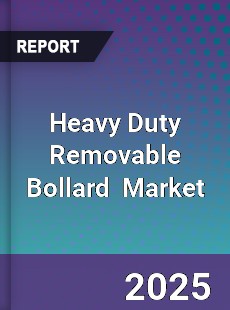 Global Heavy Duty Removable Bollard Industry
