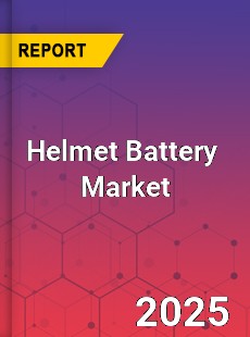 Helmet Battery Global and China Top Players Market