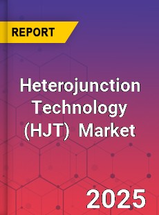 Global Heterojunction Technology Industry