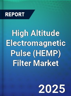 High Altitude Electromagnetic Pulse Filter Market