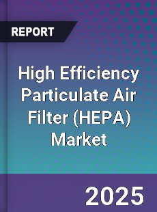 High Efficiency Particulate Air Filter Market