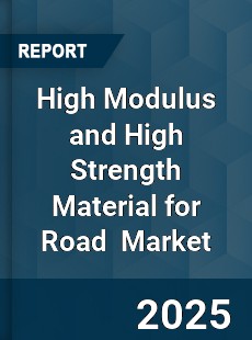 Global High Modulus and High Strength Material For Road Industry