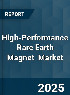 Global High Performance Rare Earth Magnet Industry