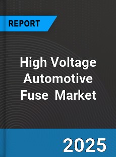 High Voltage Automotive Fuse Global and China Top Players Market