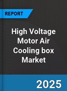 Global High Voltage Motor Air Cooling box Market