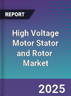 Global High Voltage Motor Stator and Rotor Professional Survey Report
