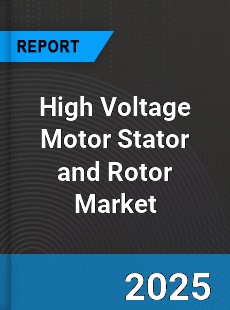 Global High Voltage Motor Stator and Rotor Market
