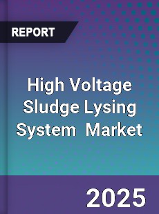 Global High Voltage Sludge Lysing System Industry