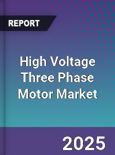 High Voltage Three Phase Motor Market