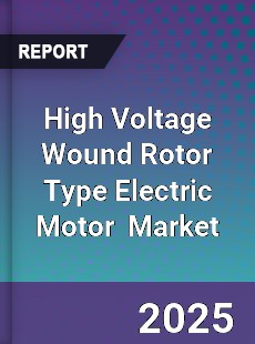 Global High Voltage Wound Rotor Type Electric Motor Industry