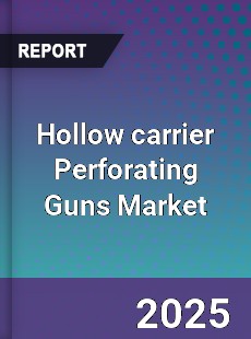 Global Hollow carrier Perforating Guns Market