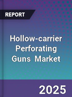 Global Hollow carrier Perforating Guns Market
