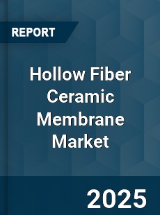 Hollow Fiber Ceramic Membrane Global Market