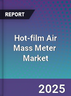 Hot film Air Mass Meter Global and China Top Players Market