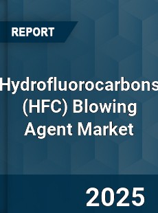 Global Hydrofluorocarbons Blowing Agent Market