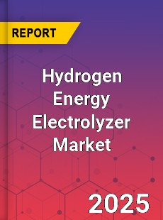 Global Hydrogen Energy Electrolyzer Market