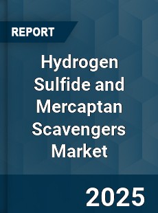 Global Hydrogen Sulfide and Mercaptan Scavengers Industry
