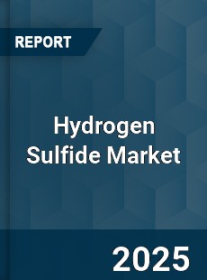 COVID 19 Outbreak Global Hydrogen Sulfide Industry