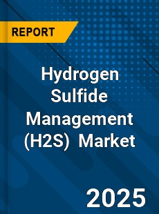 Global Hydrogen Sulfide Management Industry