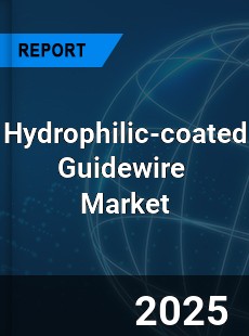 Hydrophilic coated Guidewire Global and China Top Players Market