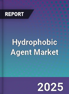 Global Hydrophobic Agent Market