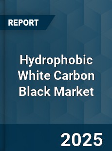 Global Hydrophobic White Carbon Black Market
