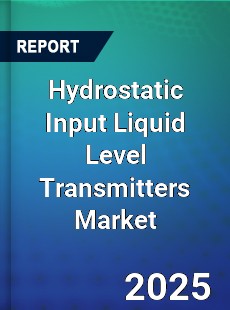 Hydrostatic Input Liquid Level Transmitters Global and China Top Players Market