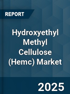 Global Hydroxyethyl Methyl Cellulose Market