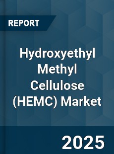 Global Hydroxyethyl Methyl Cellulose Market