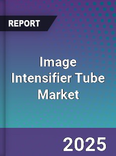 Global Image Intensifier Tube Market