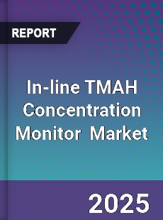 Global In line TMAH Concentration Monitor Industry
