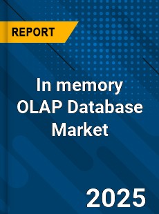 Report on Global In memory OLAP Database Market by