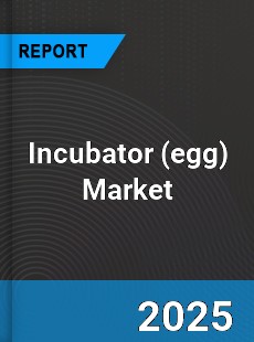 Global Incubator Market