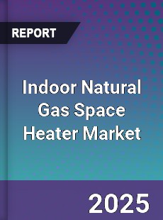 Indoor Natural Gas Space Heater Market
