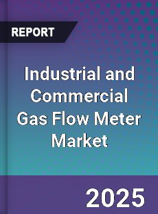 Industrial and Commercial Gas Flow Meter Market