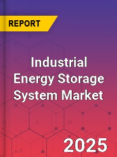 Global Industrial Energy Storage System Market